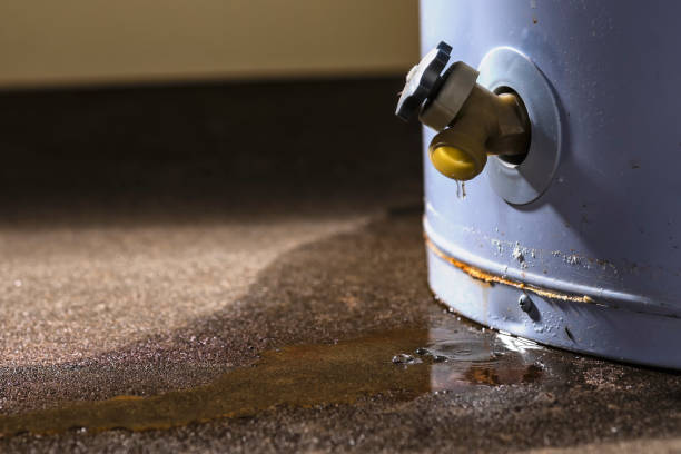 Best Water damage restoration services  in Brookhaven, WV