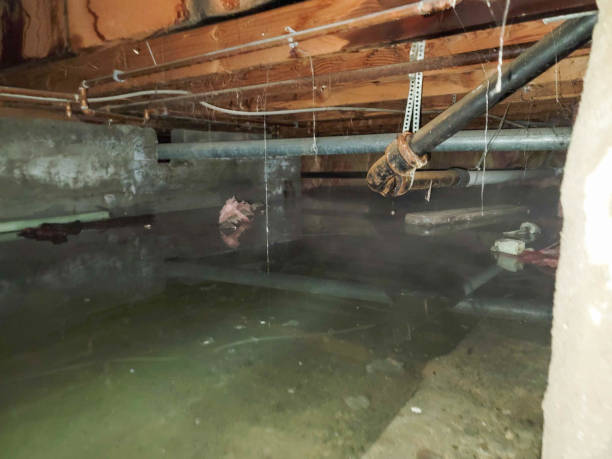 Best Flooded house restoration  in Brookhaven, WV