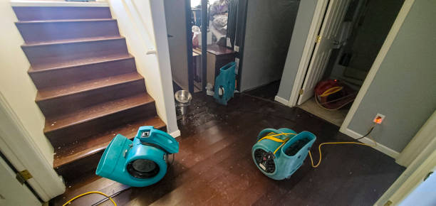 Water damage restoration experts in Brookhaven, WV