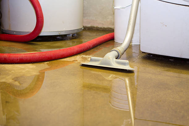 Brookhaven, WV Water damage restoration Pros