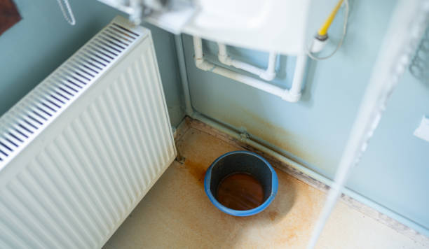Best Carpet water damage restoration  in Brookhaven, WV