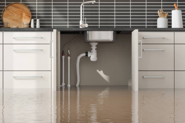 Best Fire Damage Restoration  in Brookhaven, WV