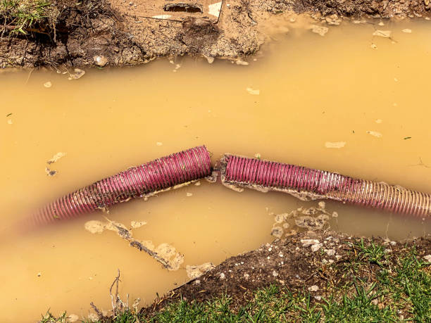 Best Commercial water damage restoration  in Brookhaven, WV