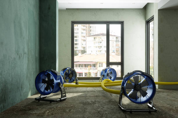 Best Basement water damage restoration  in Brookhaven, WV