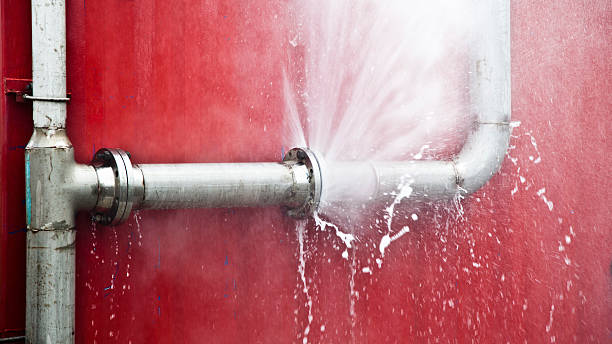 Best Mold removal after water damage  in Brookhaven, WV